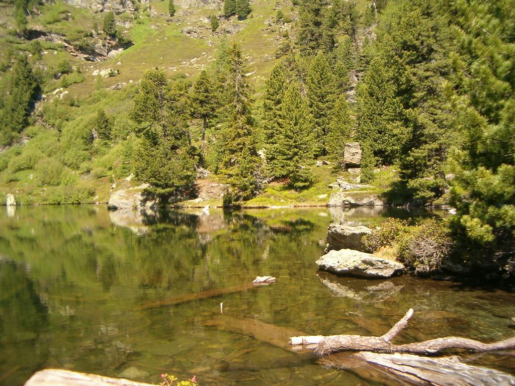 Privatpension Herta Sankt Georgen ob Murau Extérieur photo