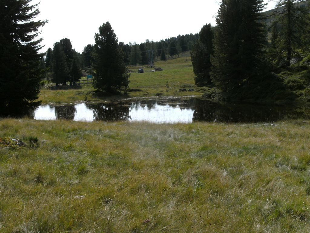 Privatpension Herta Sankt Georgen ob Murau Extérieur photo