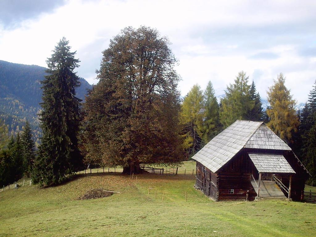 Privatpension Herta Sankt Georgen ob Murau Extérieur photo